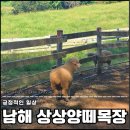 남해가볼만한곳 아이와 함께 나들이 가기 좋고 연인과 추억 쌓기에도 좋은 곳! 남해 상상양떼목장 편백숲