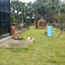 제주아이노스 이미지