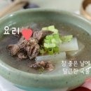 플레시피