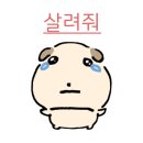 더플러스치과 네이버블로그