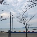 해가헌 | 함평감성숙소 해가헌에 친구들과 다녀온 내돈내산 후기예요