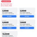 주식회사 내이 | 호주 케언즈여행 액티비티 총정리 - 래프팅 코스 비교, 헬기, 경비행기, 번지점프 등