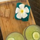 이스트팜 | [보홀 숙소 추천] 오셔니카 리조트 후기｜위치, 가격, 수영장 솔직리뷰