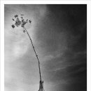 기억의 순간 이미지