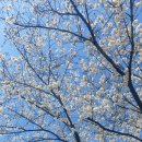 김천초등학교 이미지