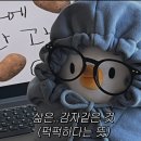 토요)수채화 | 5월 그리고 6월, 2024년