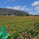 세종청사 13동 이미지