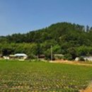 오봉리 - 우 이미지