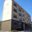 강정동-19 이미지