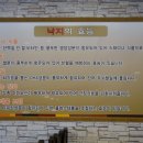 낙지힘낙지 이미지