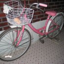 알톤 핑크 여성용 자전거팔아요 이미지
