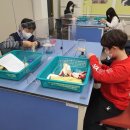 [주말] 창의실험과학 이미지