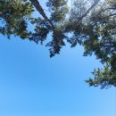 바다정원 이미지