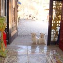 의령민박 이미지