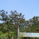 수원-1857 이미지