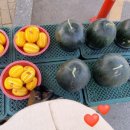 닭치고시장통닭