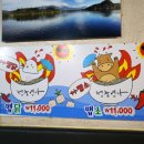 청춘면가