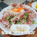 진주 오리고기 맛있는 곳 칠암동 백조품은오리 막국수까지