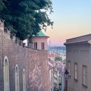 소로3-286 | [동유럽 여행] 프라하 3일차_네루도바거리 맛집(프라하 꼴레뇨, 비프 타르타르 맛집) Plný pekáč