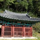 장수한누리전당 너울관 수영장 | 장수여행코스 가족여행 국내 가볼만한 곳 베스트10 추천