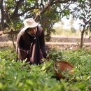 워킹홀리데이 이미지