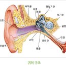 헬스닥터 이미지