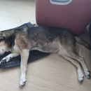 오복세탁 이미지
