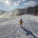준스포츠센터 | 전주어린이 스포츠센터 알키즈업스포츠 스키강습 추천 후기