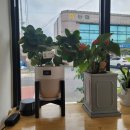 십일시커피 이미지