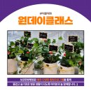 보금한방병원 이미지