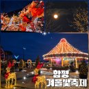 읍시가지 | 함평 겨울빛축제 후기｜2026 겨울, 빛으로 물든 함평 밤산책