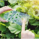 국립종자관리소 충남지원 이미지