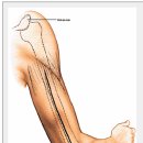 THE APPROACH 이미지