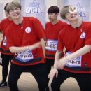 나는 댕댕 이미지