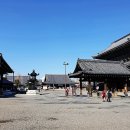 교토 Daum카페