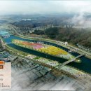 금호강하중도 이미지