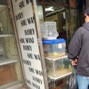 싸이펫 | DDP 갈만한 곳 동대문 애완동물 파충류 거리 유토피아 싸이펫 (주차 정보)