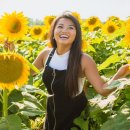 입면 행정복지센터 이미지