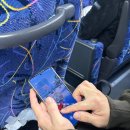 종일사슴 | 일본 오사카 클룩 가이드투어 비용 나라 사슴공원 교토 청수사 도게쓰교 입장료 및 가격 정보