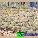 (주)신우엔지니어링 이미지