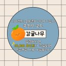 (주)모스트박스 | [스튜디오 #23] 모스트스튜디오: 앨범 수령 후기