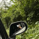 정은목장 이미지