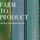 봄맞이 화잘먹 치트키✨ ; 톤28 해남 404 글로우 크림&amp;세럼 이미지