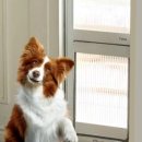 주식회사타비오 이미지