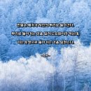 1128 | 사랑 명상 1128