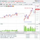 화장품랜드21