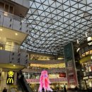 덕지식당 | 중국 상하이 미슐랭 베이징덕 맛집 추천 마담주키친 마이리얼트립 예약 방문후기