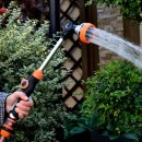 단미정원 이미지