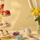 (주)조선호텔앤리조트 조선팰리스강남 사우나 이미지