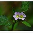 불암초등학교 이미지